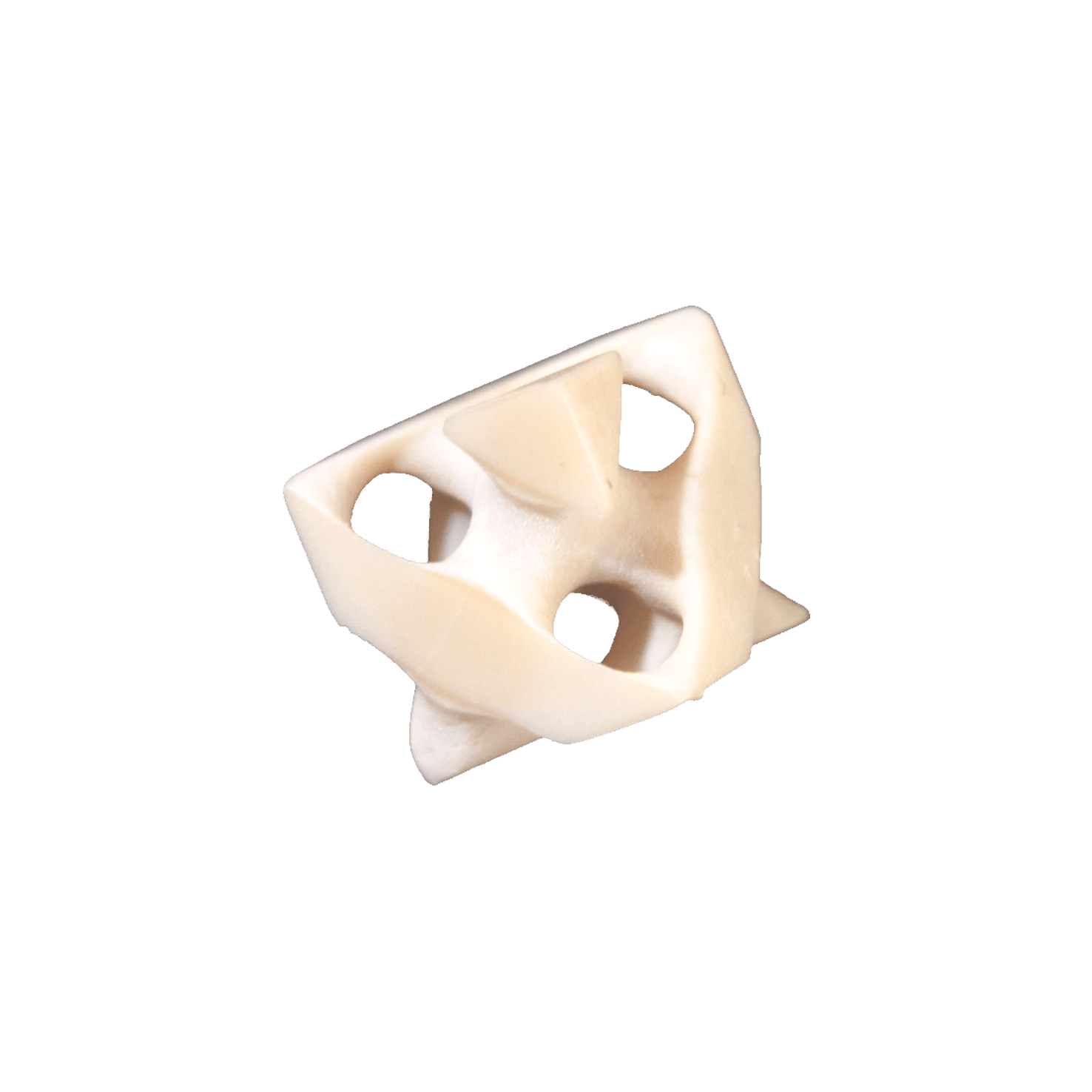 Bioceramics Bioceramics