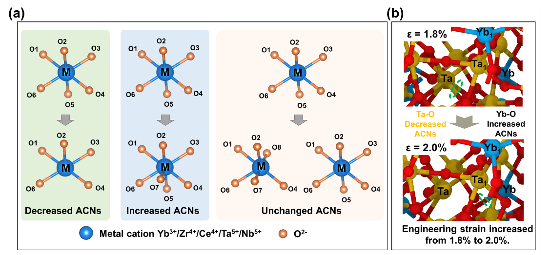 Microstructure and crack paths in ceramic materials