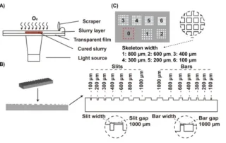 Curing-curves-showing-stronger-oxygen-inhibition-and-deviation-from-Beer–Lambert-law-in-175-µm-slurry-layers