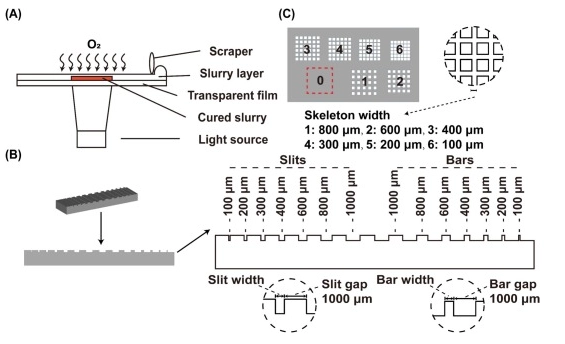 Curing-curves-showing-stronger-oxygen-inhibition-and-deviation-from-Beer–Lambert-law-in-175-µm-slurry-layers
