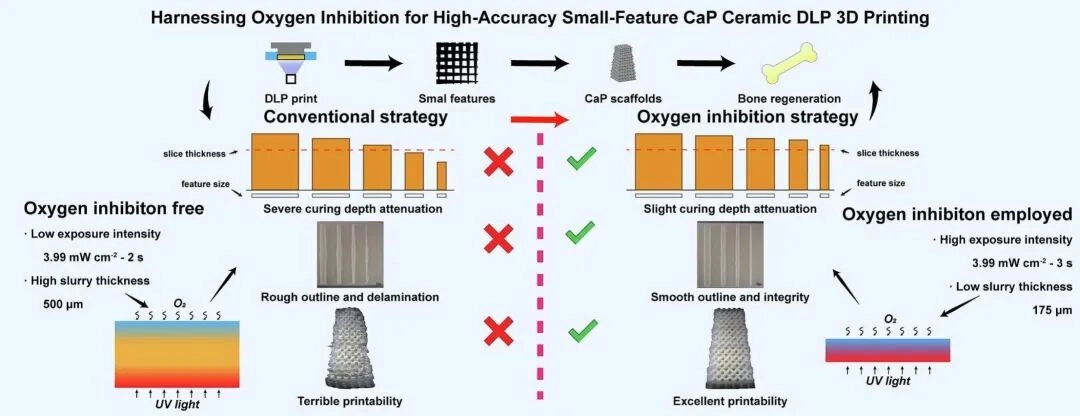 Harnessing-Oxygen-Inhibition-for-High-Accuracy-Small-Feature-Cap-Ceramic-DLP-3D-Printing