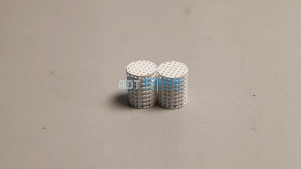 Microstructured-Bioceramics